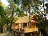 Chamilandu - Treehouse 